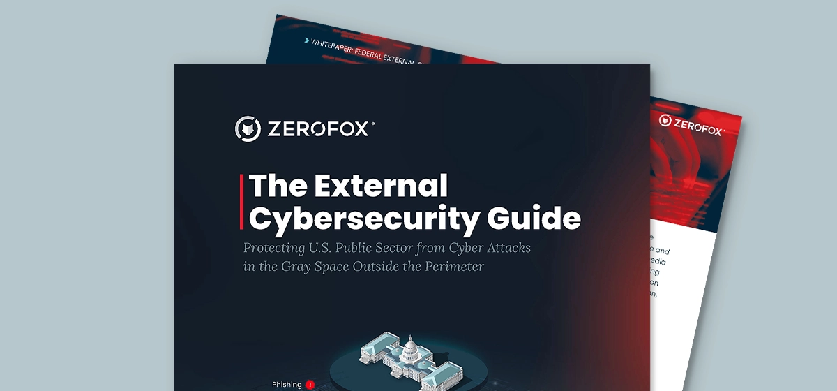 The External Cybersecurity Guide: Protecting the US Public Sector